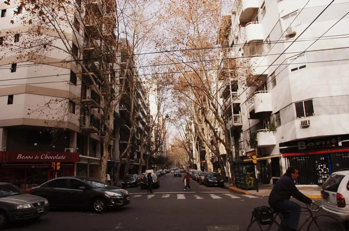 Rue Beruti à Palermo, bordée d’immeubles d’habitation et de platanes sans feuilles