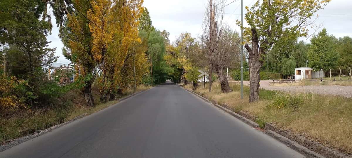 Calle Alsina, rue arborée du quartier San Francisco del Monte, à Godoy Cruz (Mendoza)