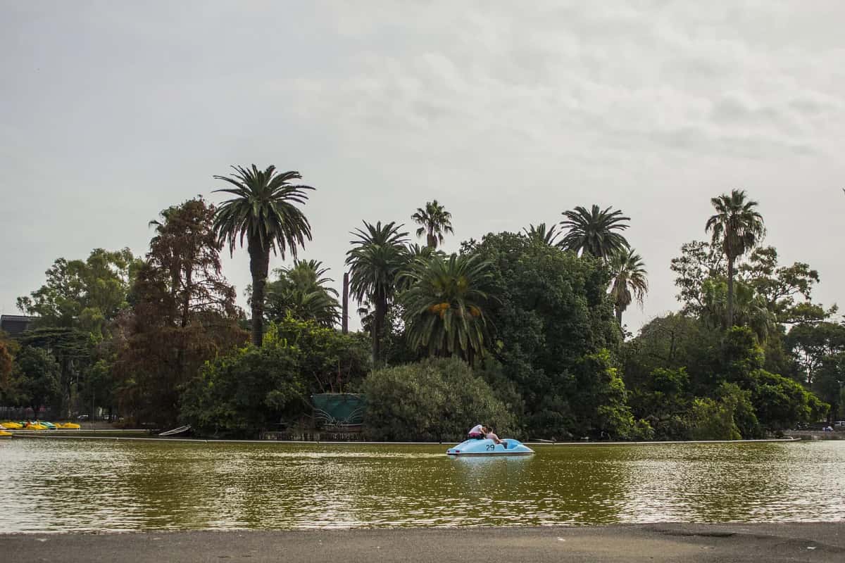 Lac du parque Independencia à Rosario avec un pédalo devant des palmiers