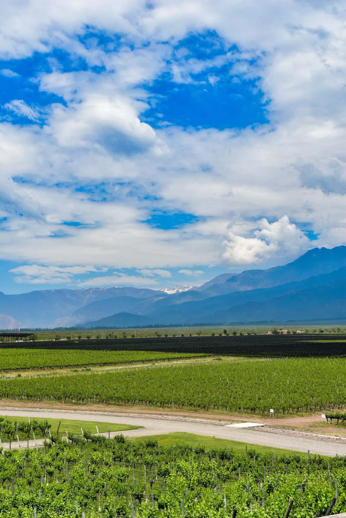 Vignobles Mendoza Andes route des vins Malbec