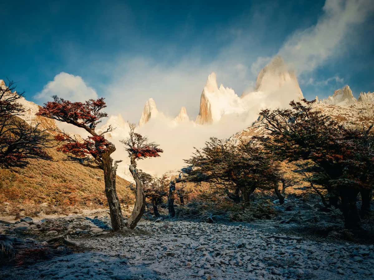 Fitz Roy Patagonie trek assurance montagne